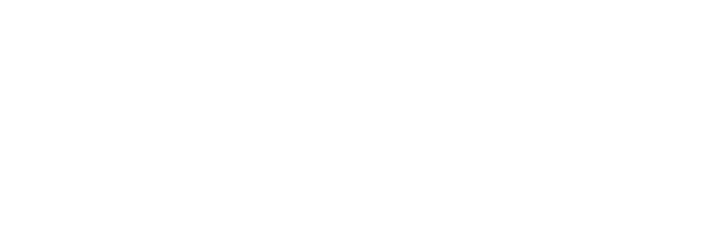 Imagotipo Blanco Nexus Audit Assurance