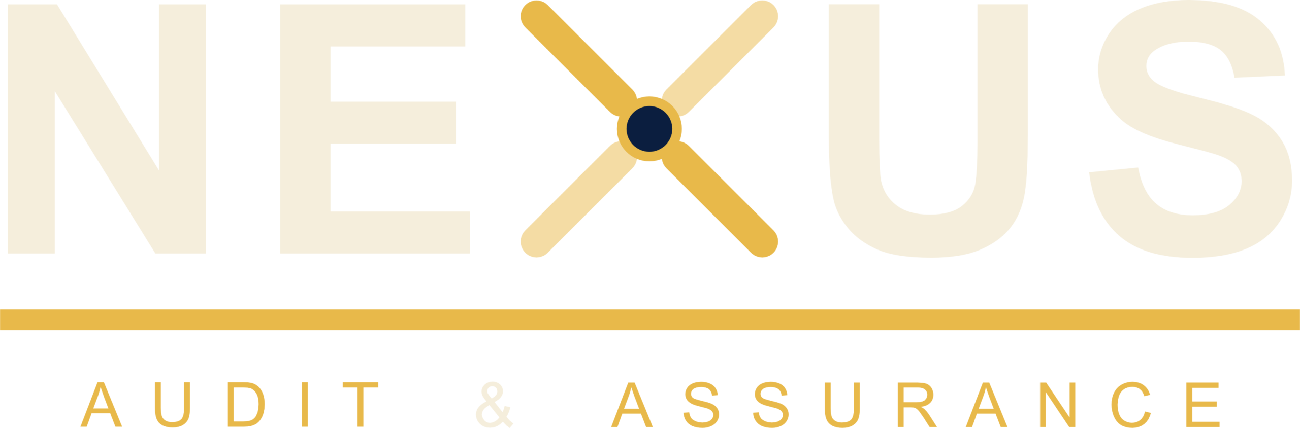 Imagotipo Negativo Nexus Audit Assurance